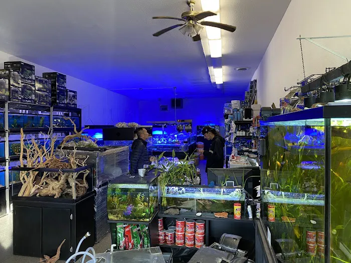 Clear Water Aquarium Picture 3