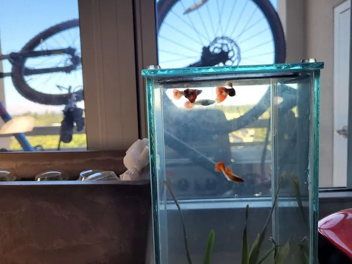 Clear Water Aquarium Picture 4
