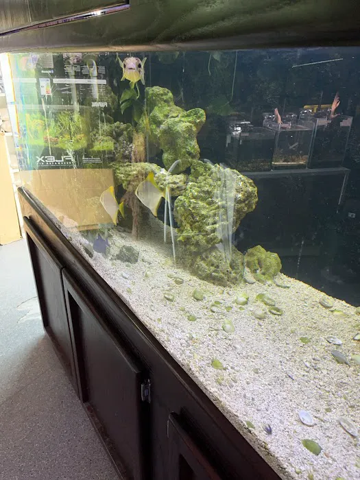 Clear Water Aquarium Picture 1