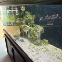 Clear Water Aquarium ico
