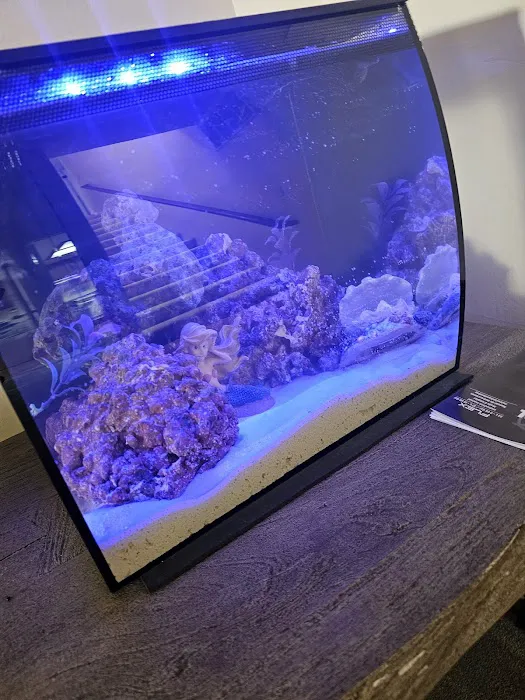 Clear Water Aquarium Picture 6