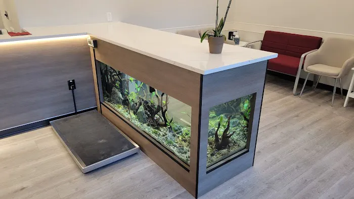 Clear Water Aquarium Picture 2