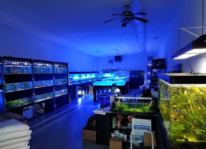 Clear Water Aquarium Picture 9