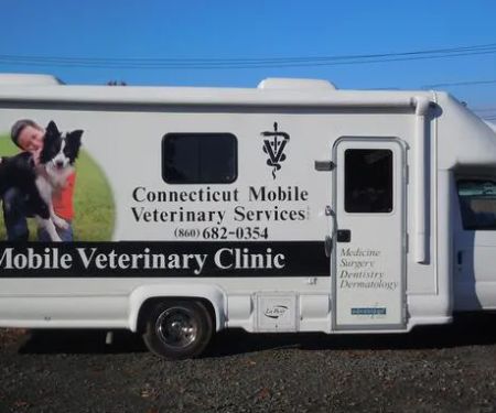 Connecticut Mobile Veterinary Services, LLC