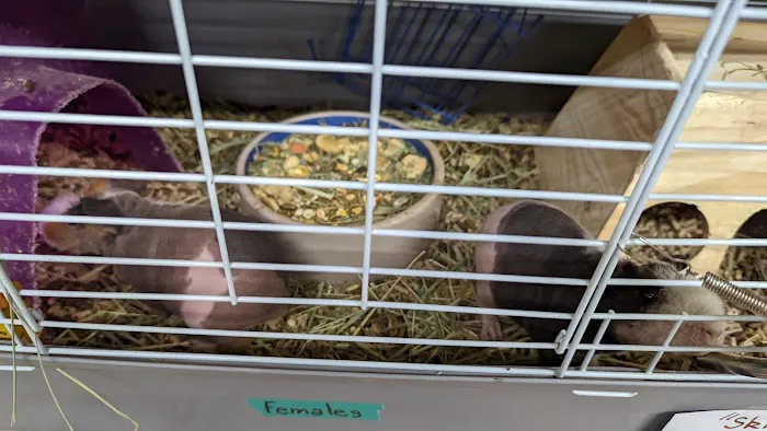 Pets and More Picture 10