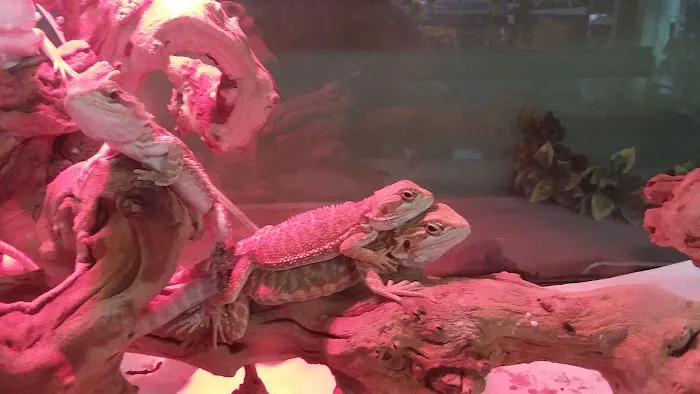 Pets and More Picture 4
