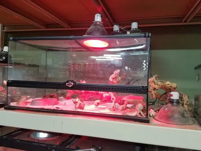 Pets and More Picture 2