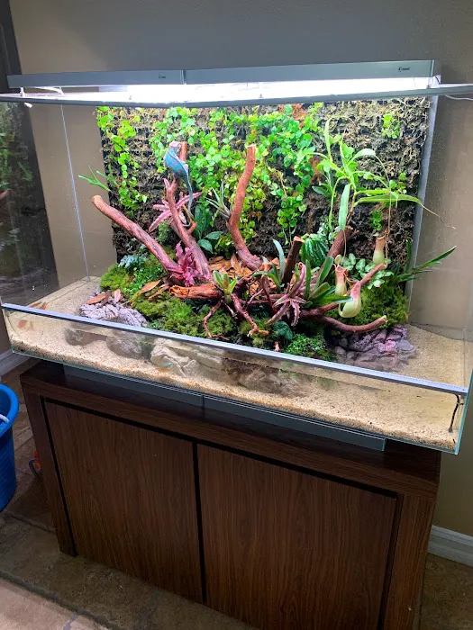 Aqua Lab Aquaria Picture 8