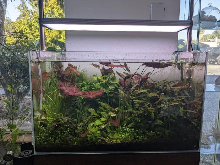 Aqua Lab Aquaria Picture 9