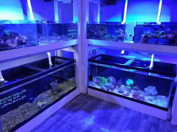 Aqua Lab Aquaria Picture 10