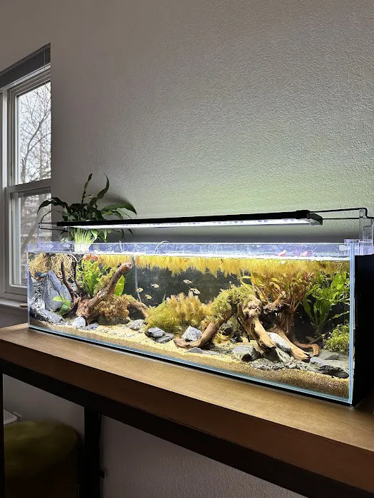 Aqua Lab Aquaria Picture 6