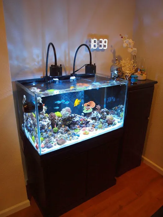 Aqua Lab Aquaria Picture 2