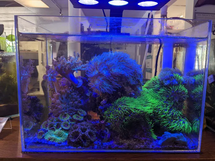 Aqua Lab Aquaria Picture 5
