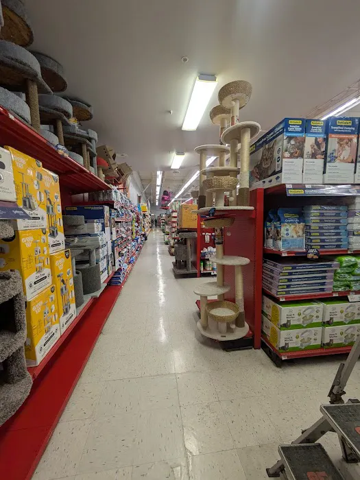 Petco Picture 10