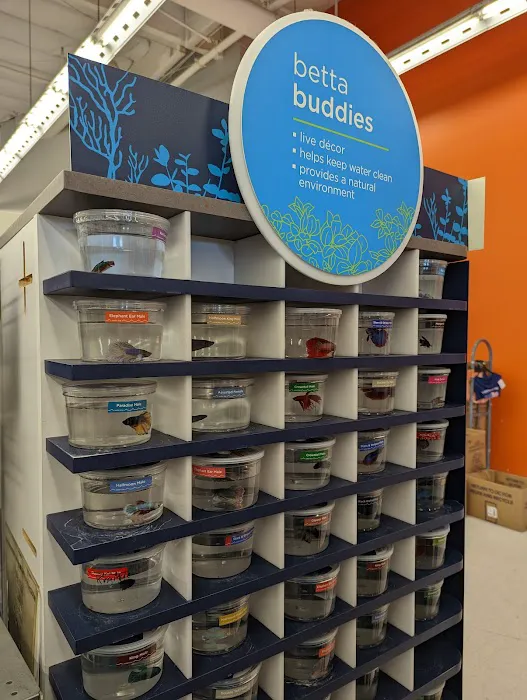 Petco Picture 7