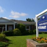 Manchester Veterinary Clinic