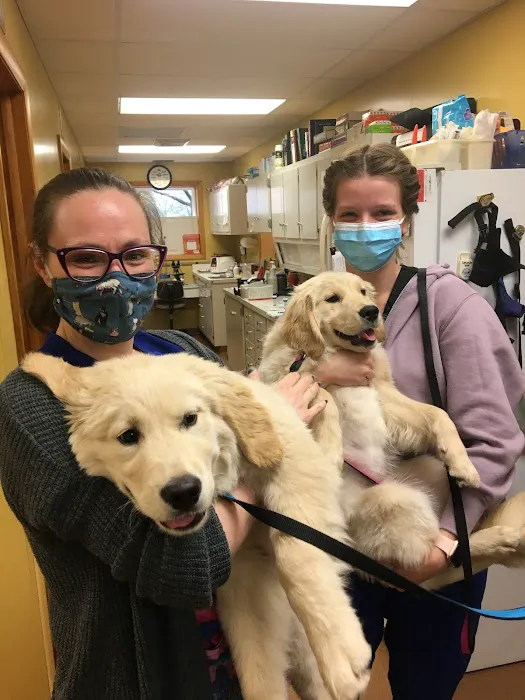 Manchester Veterinary Clinic Picture 7