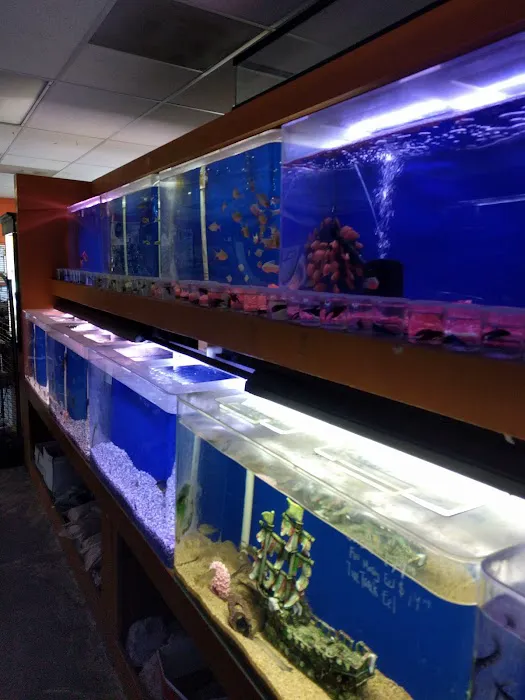 King Aquarium Picture 6