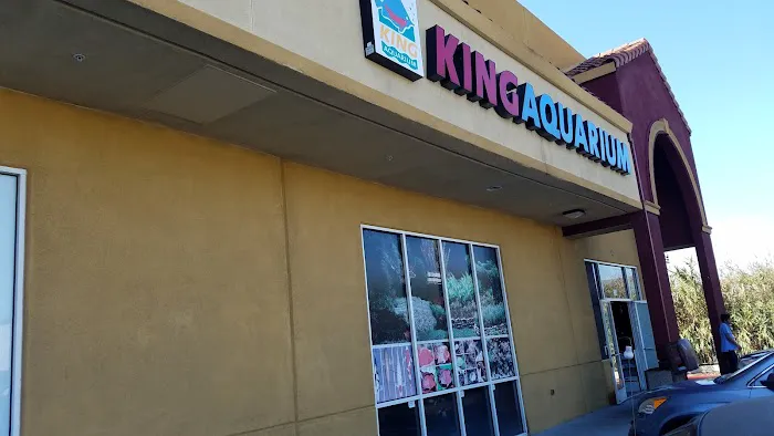 King Aquarium Picture 2