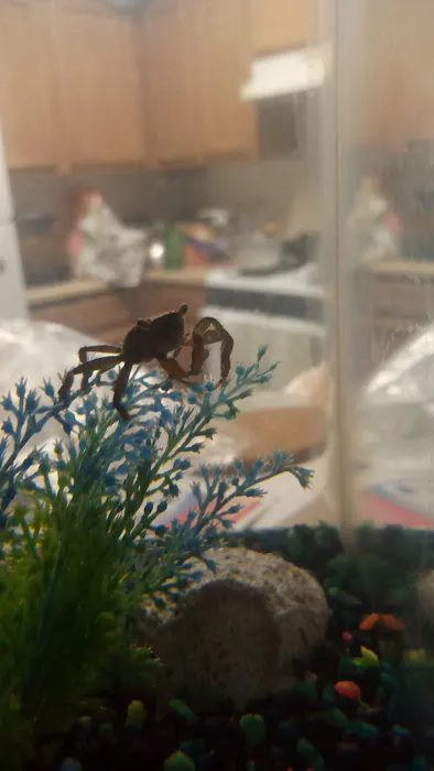 King Aquarium Picture 8