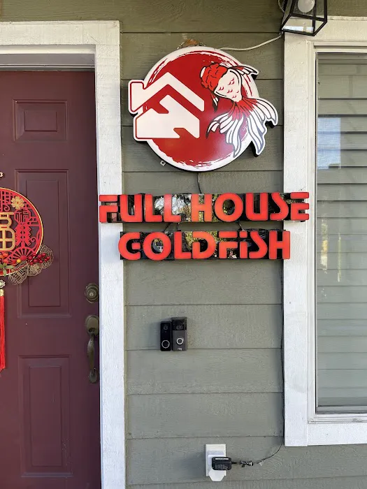Full House Goldfish (满屋金鱼) Picture 5