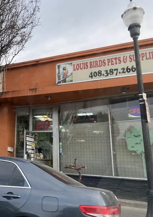 Louis Birds Pets & Supplies Picture 3