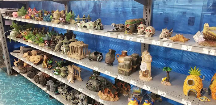 Petco Picture 10
