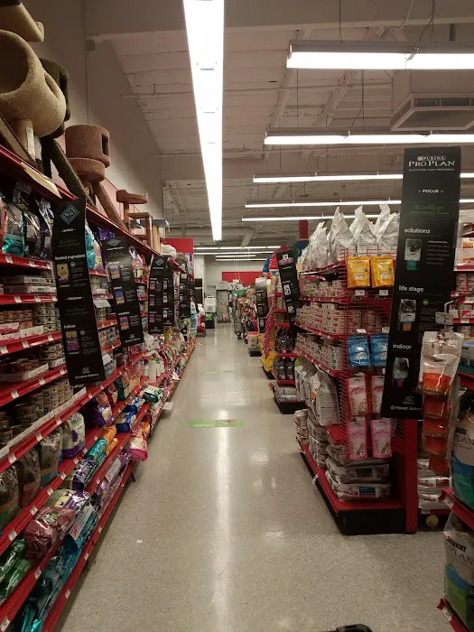 Petco Picture 8