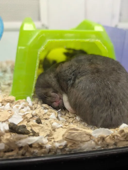 Petco Picture 3