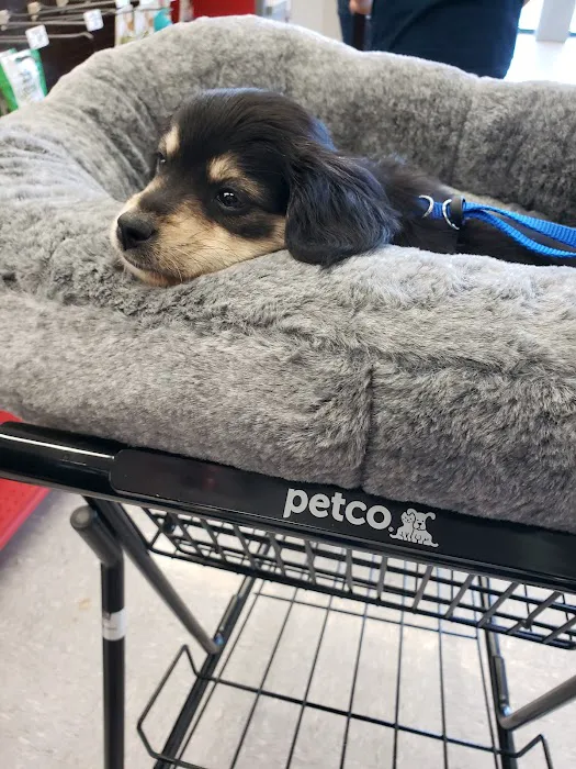 Petco Picture 5