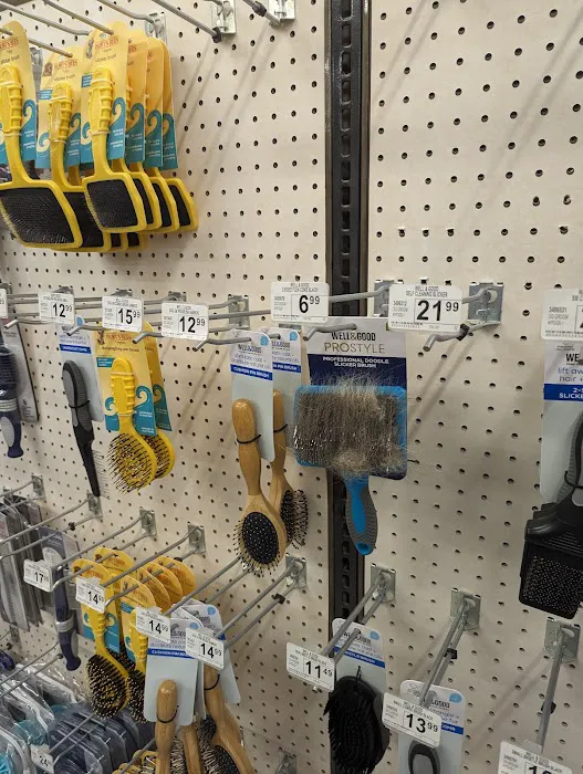 Petco Picture 2