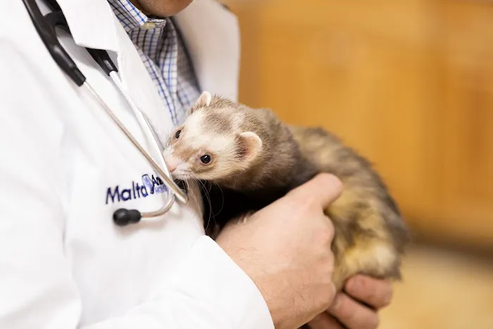 Malta Animal Hospital Picture 7