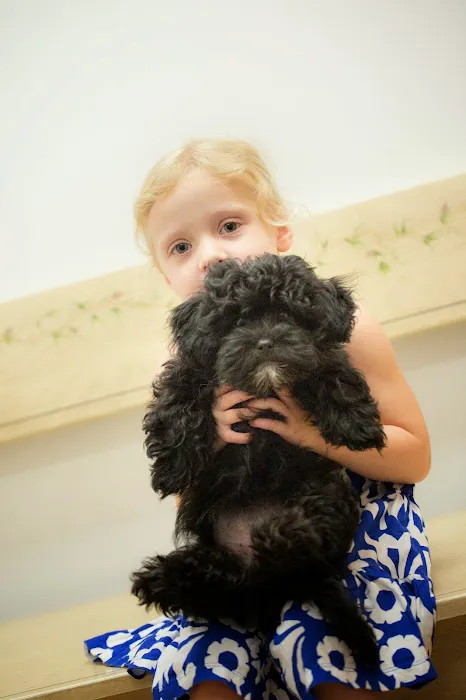Malta Animal Hospital Picture 3
