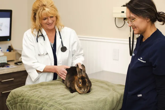 Malta Animal Hospital Picture 5