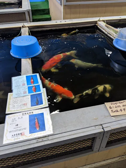 Genki Nishikigoi, Inc. Picture 1