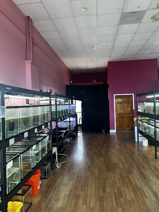 Bright Aquarium Picture 10