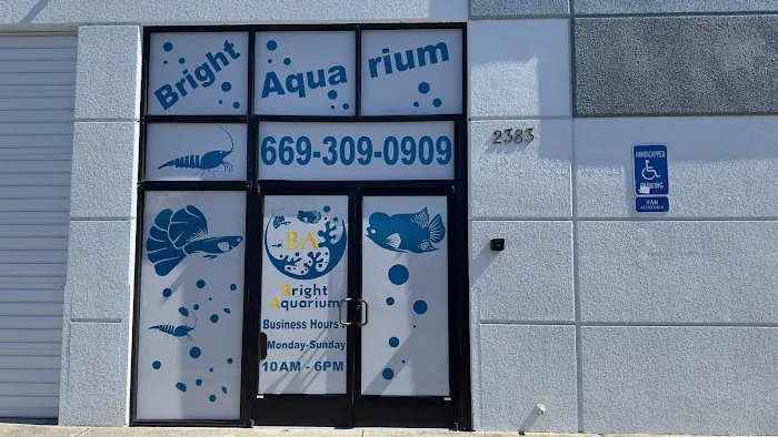 Bright Aquarium Picture 2