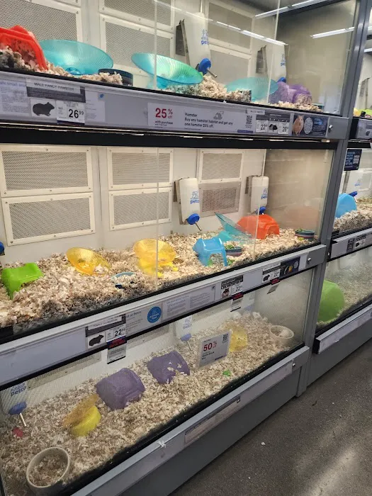 Petco Picture 2
