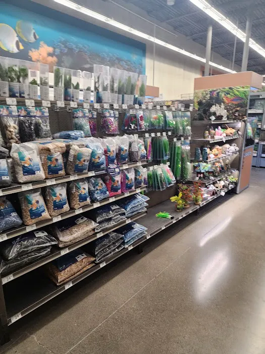 Petco Picture 8