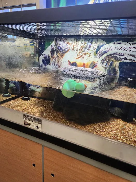 Petco Picture 6