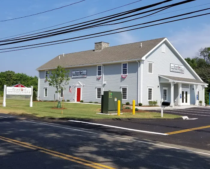 Branford Veterinary Hospital Picture 8