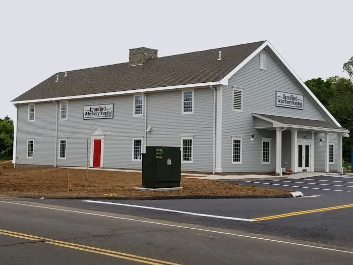 Branford Veterinary Hospital Picture 3