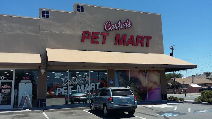 Carter's Pet Mart Inc Picture 5
