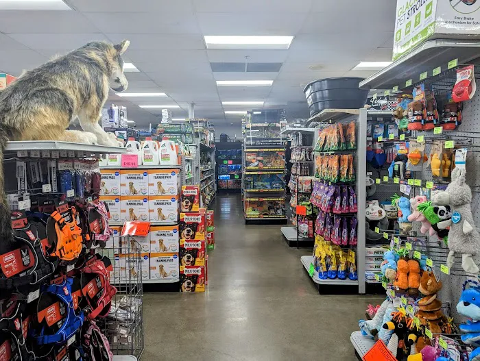 Carter's Pet Mart Inc Picture 8