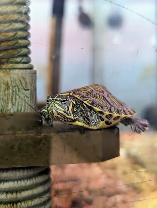 Carter's Pet Mart Inc Picture 9