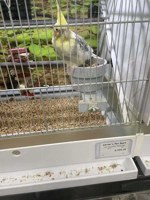 Carter's Pet Mart Inc Picture 6