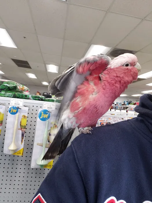 Carter's Pet Mart Inc Picture 7