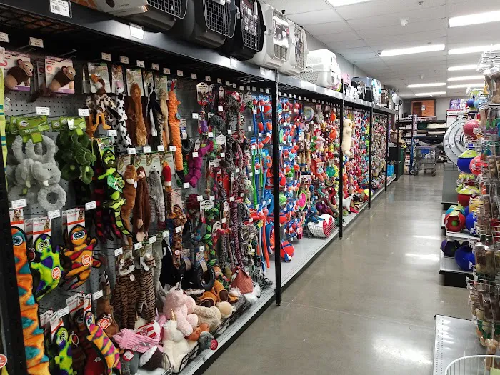 Carter's Pet Mart Inc Picture 3