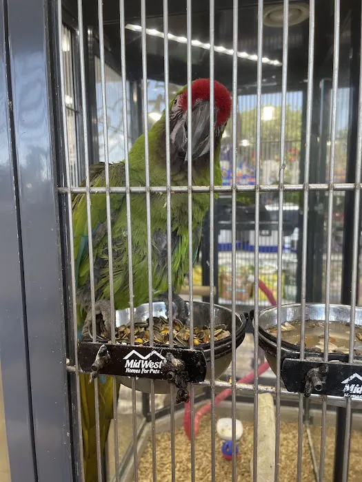 Carter's Pet Mart Inc Picture 10