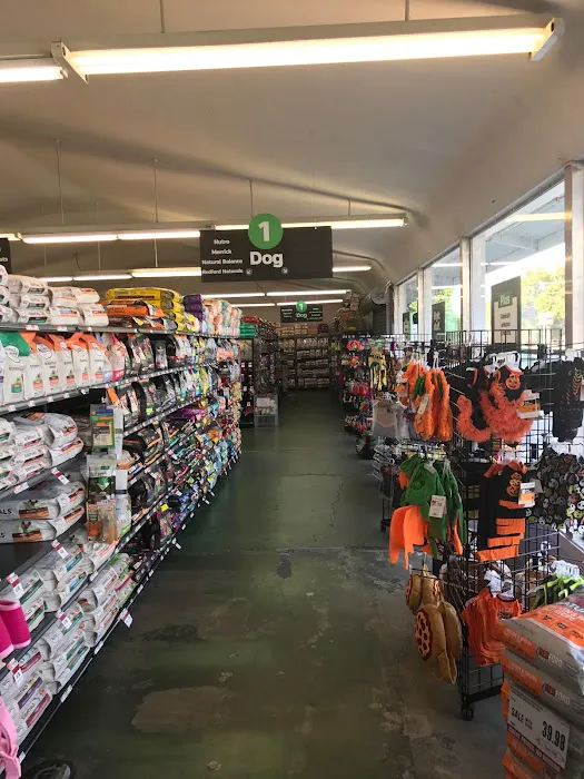 Pet Supplies Plus Stockton Picture 3
